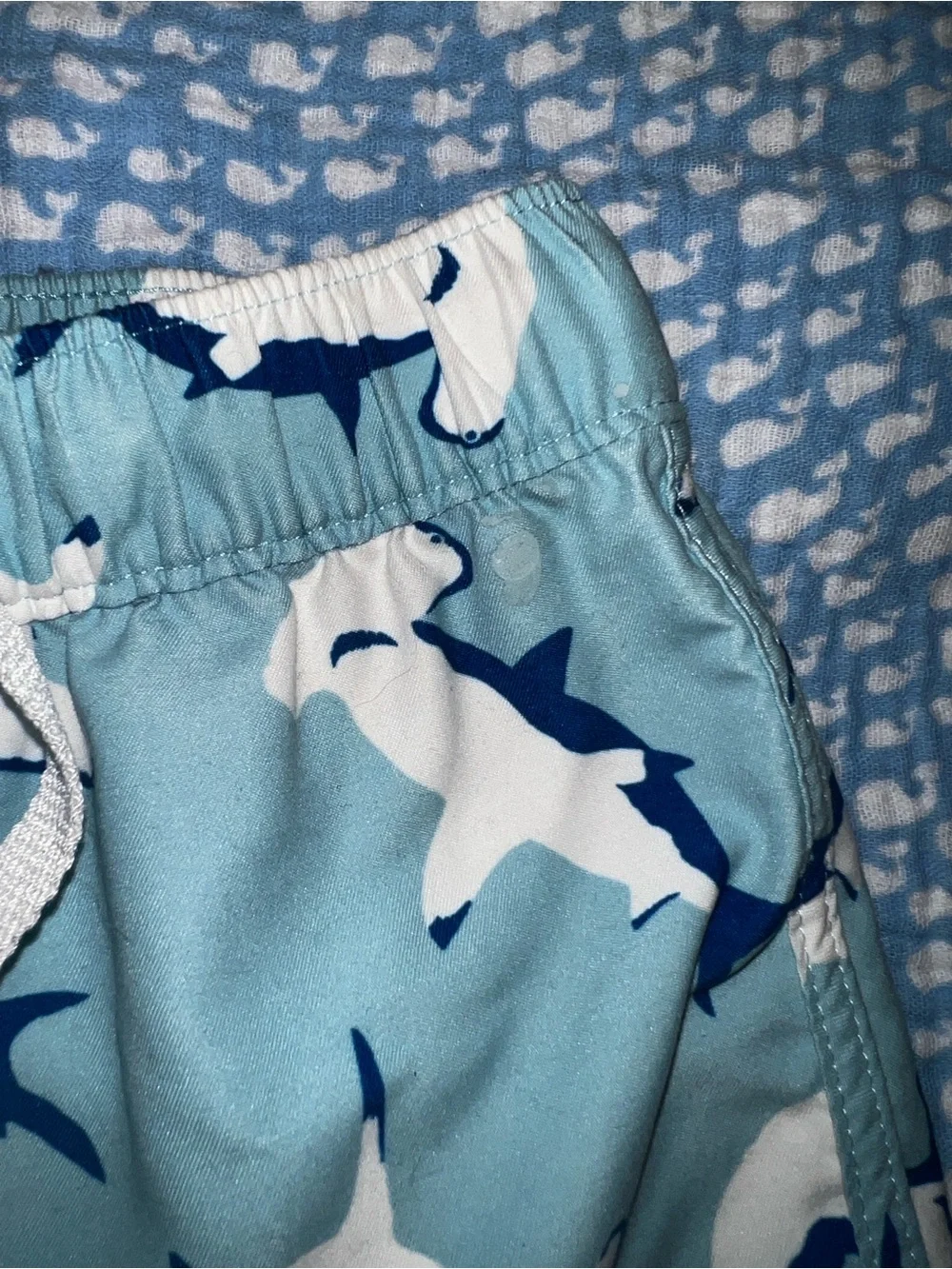 Hanna Andersson Light Blue Shark Swim Shorts